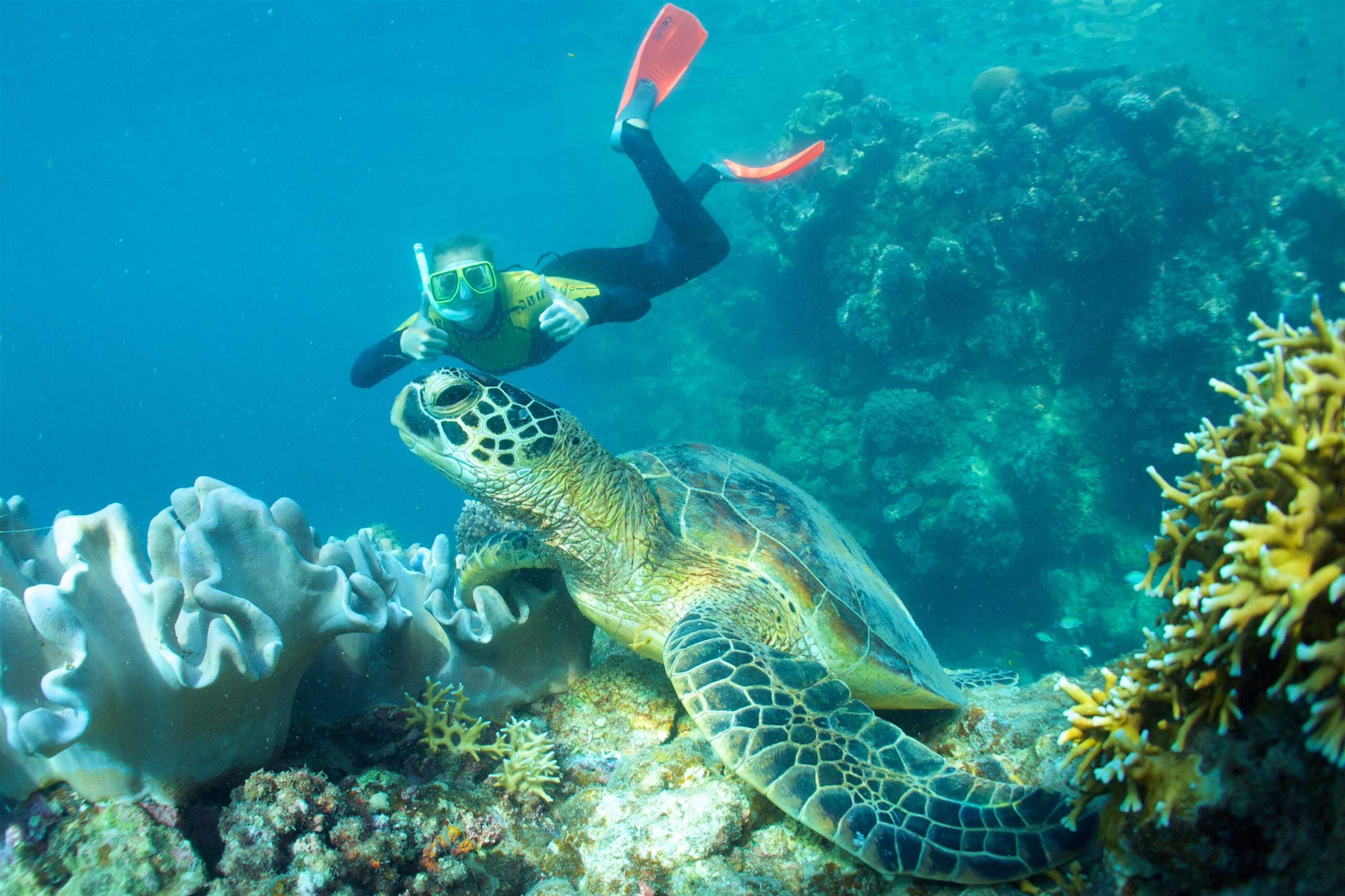 A Whitsunday Islands Sail, SUP & Snorkel Day Tour- Premium NEWEST Whitsundays Day Tour!