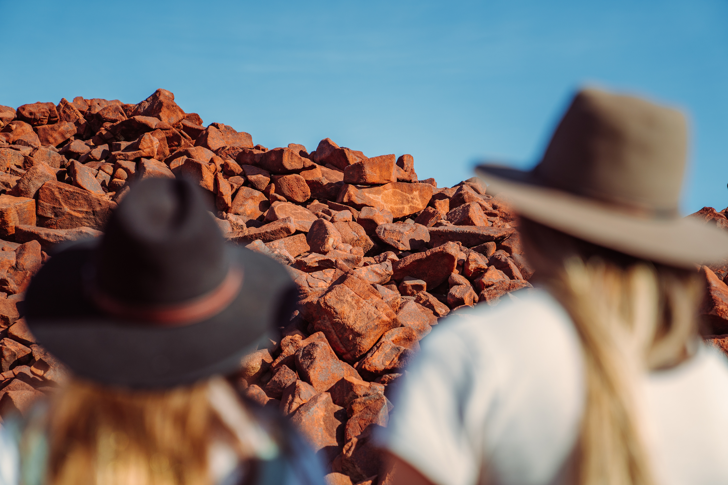 Rock Art & Bush Tucker Tour