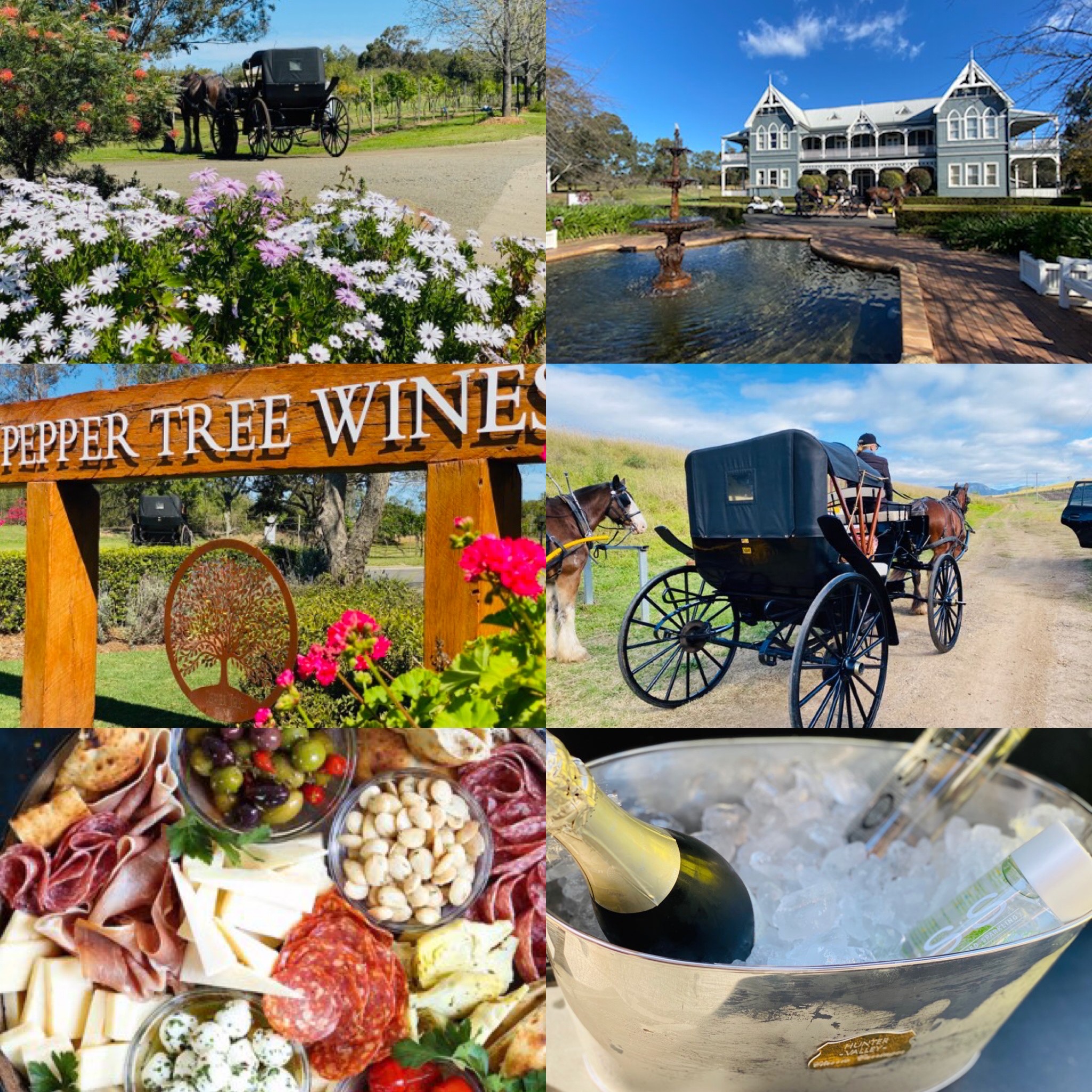 Full Day Exclusive Horse and Carriage Couples Wine Tour