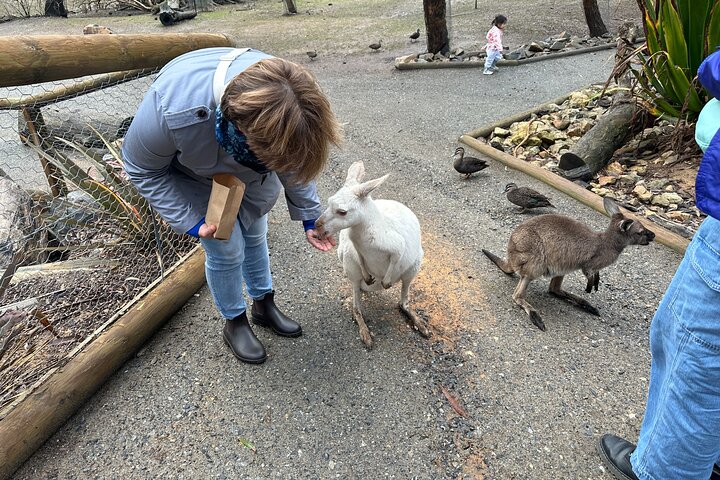 Secret Food Tours Sydney