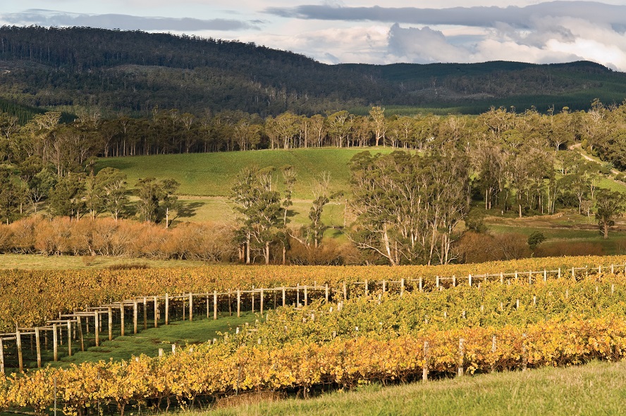 Seduction of Pinot Noir - The Heartbreak Grape & Seasonal Platter Package (TC)