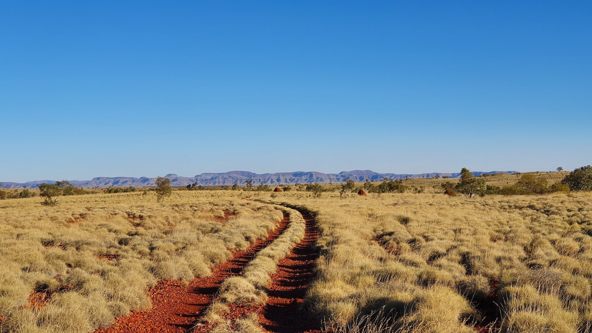 4WD Tag-along Tour