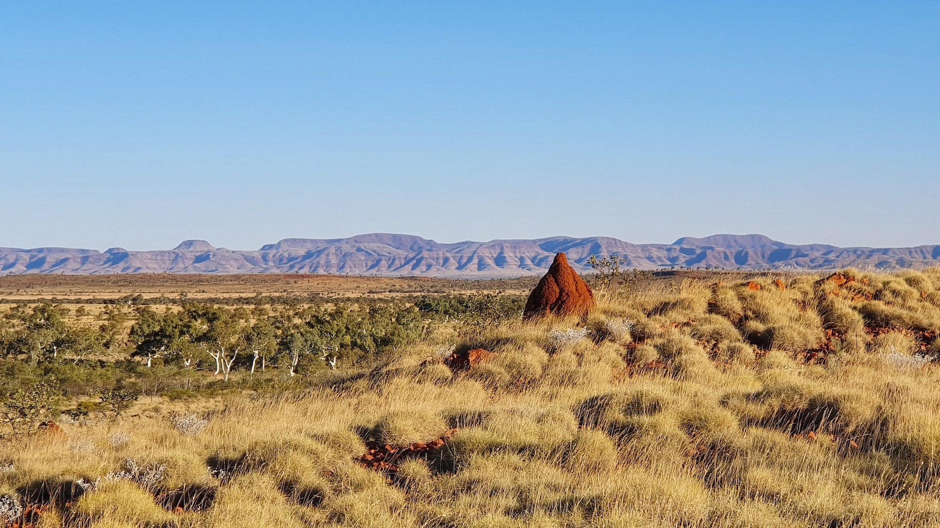 4WD Tag-along Tour