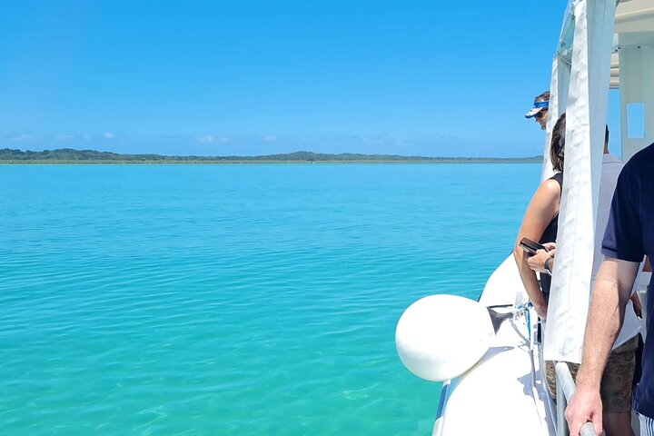 Moreton Bay Champagne and Oyster Tour From Brisbane
