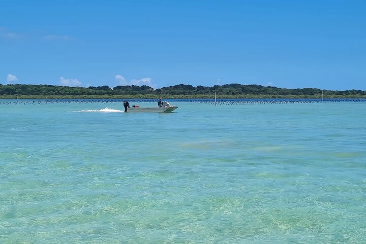 Moreton Bay Champagne and Oyster Tour From Brisbane