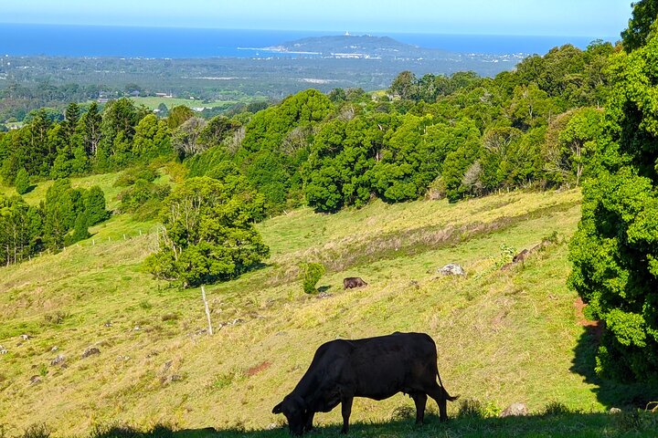 Byron Bay and Bangalow from Gold Coast