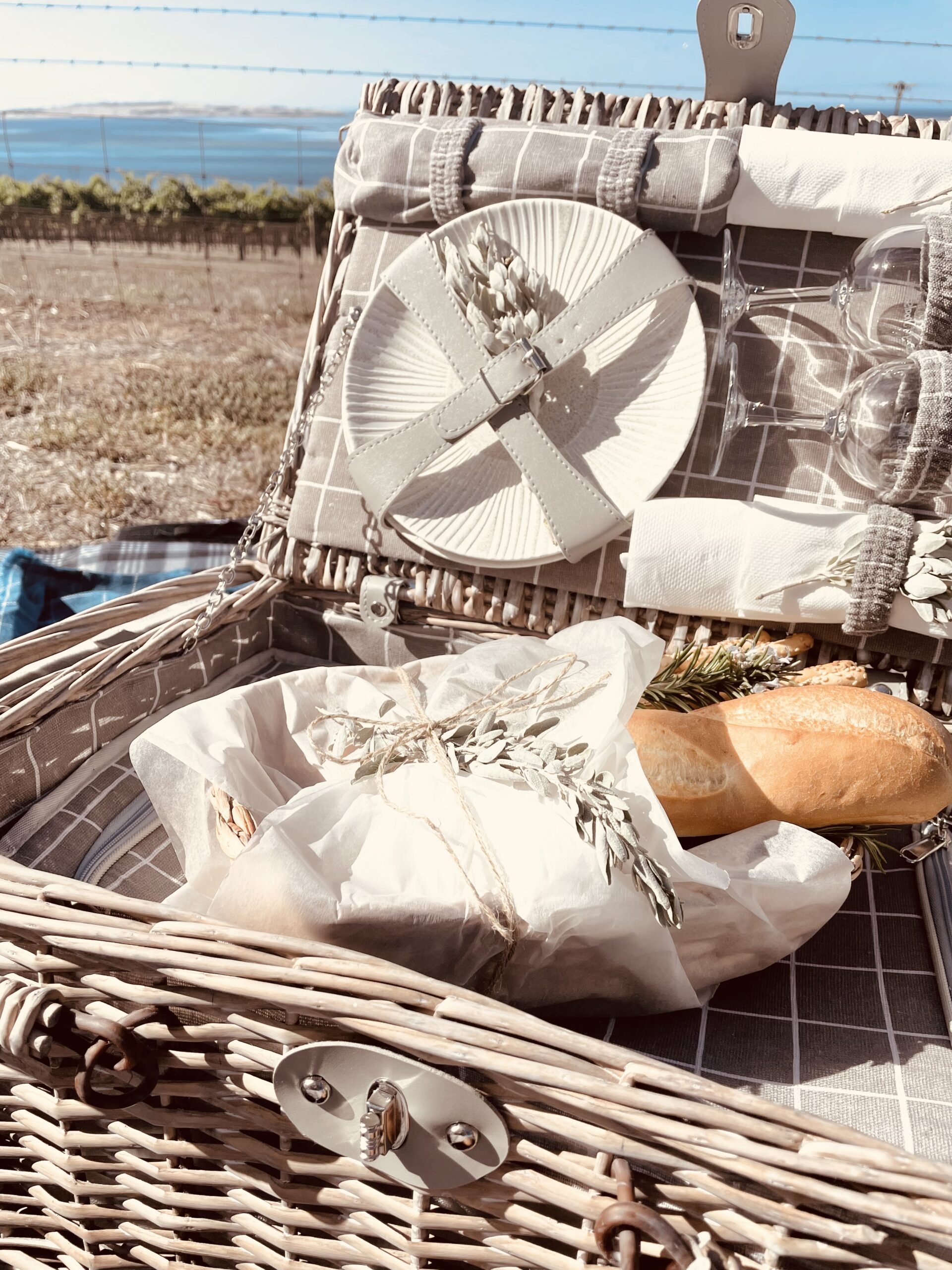 Picnic on the Bay Experience