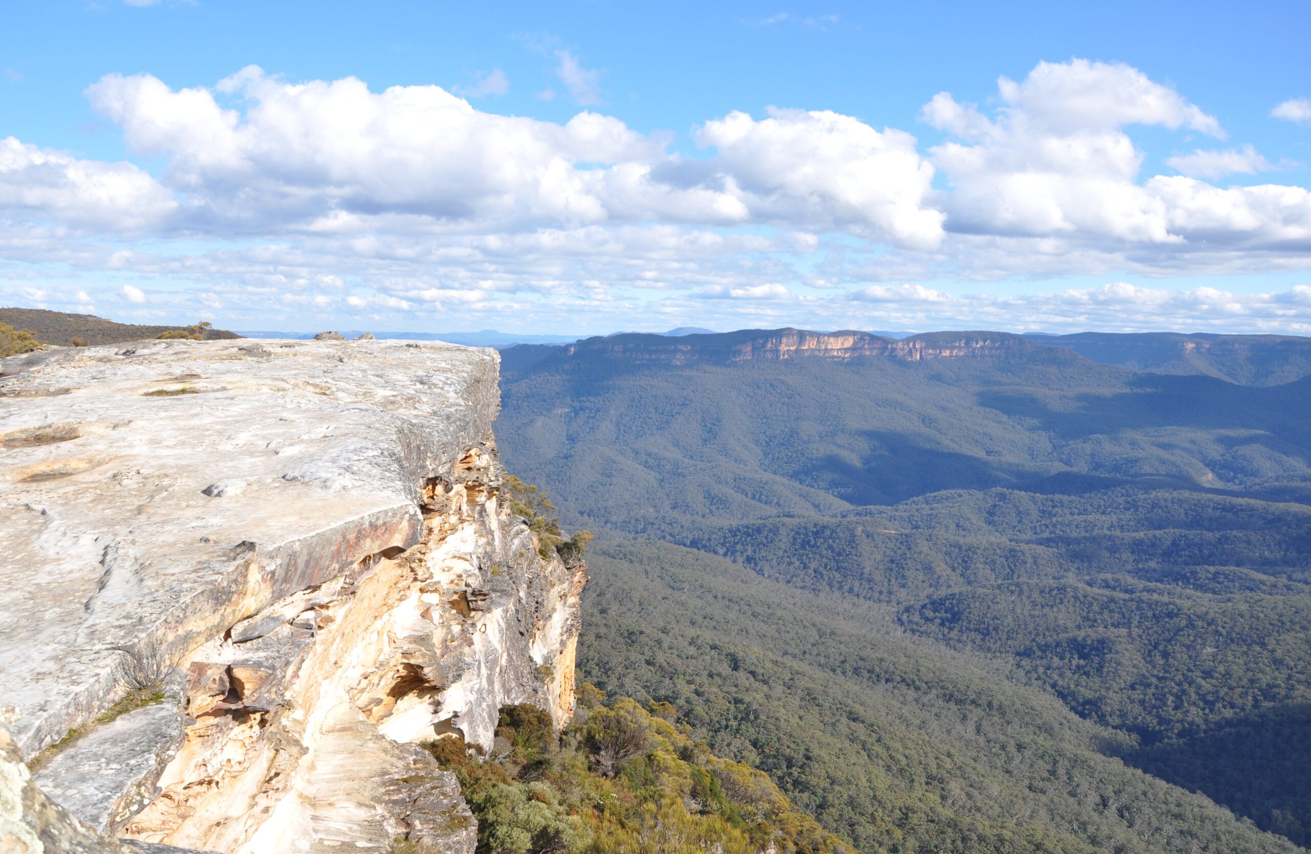 Blue Mountains Private Tour Including Scenic World & Sydney Zoo