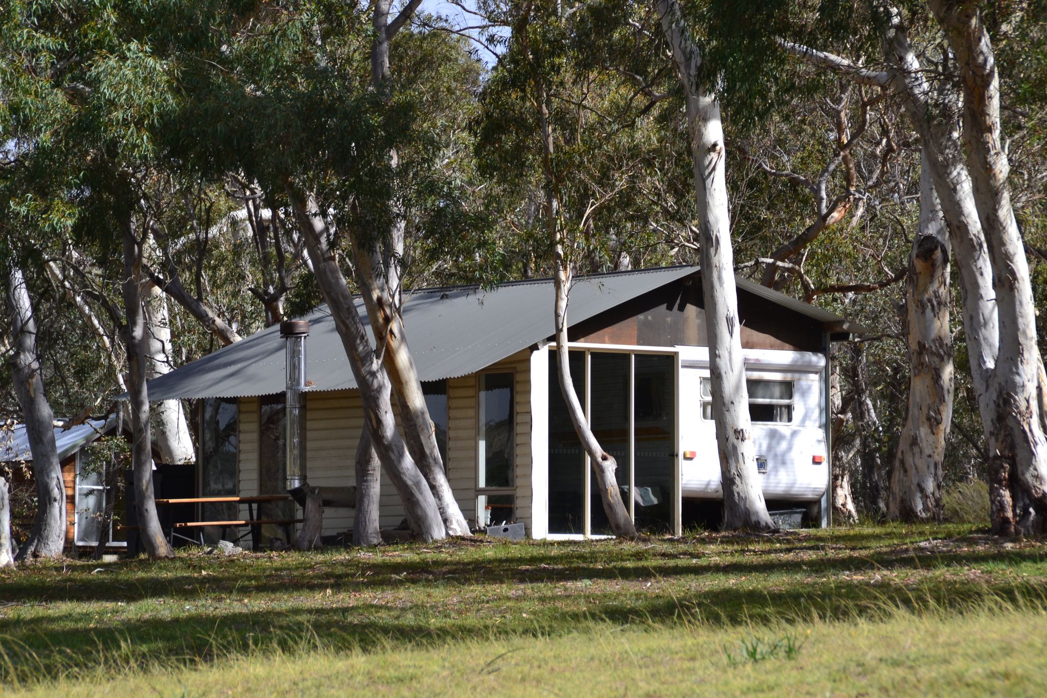 Glamping Van in Bush Setting