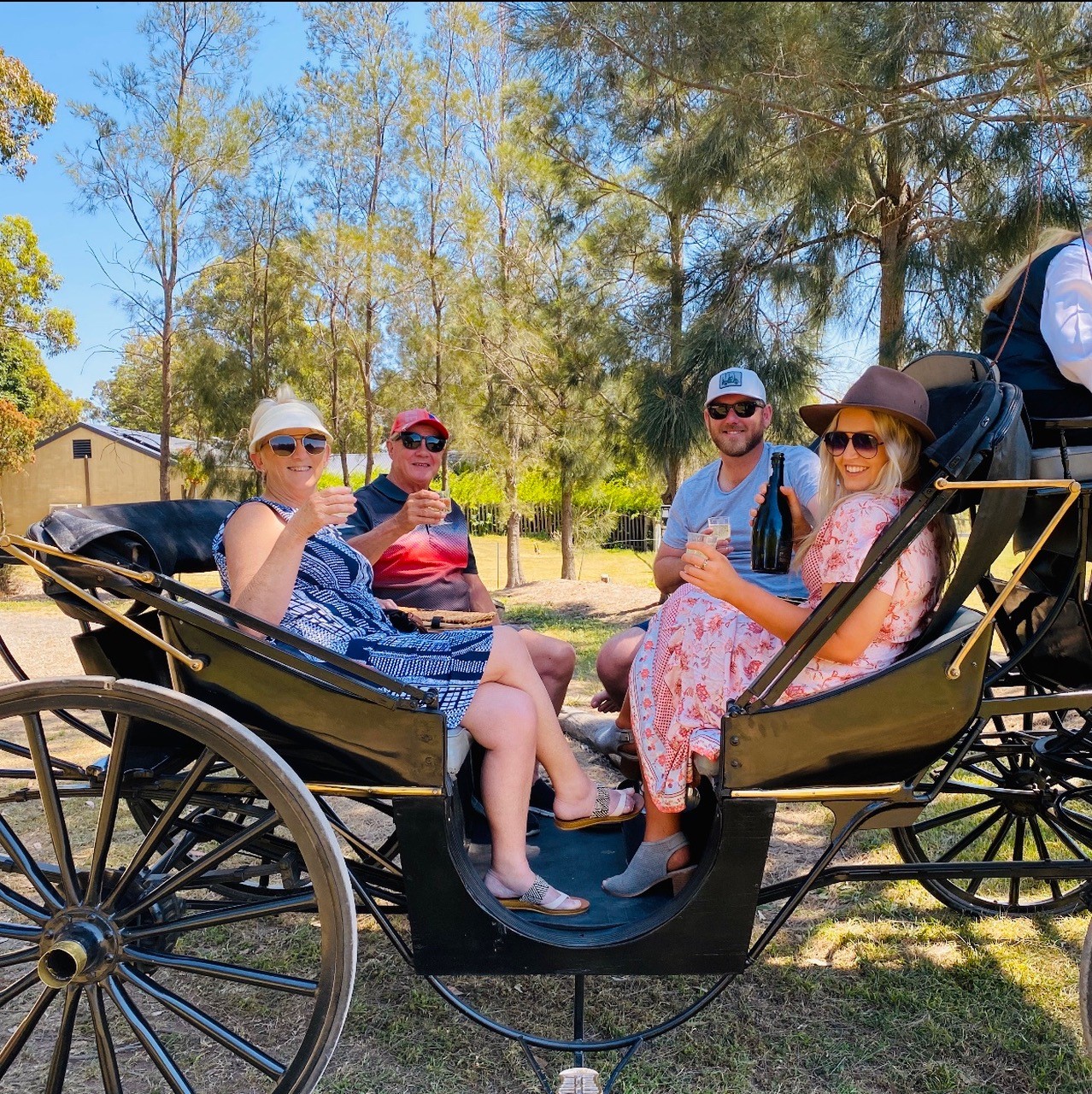 Full Day Exclusive Horse and Carriage Group Wine Tour