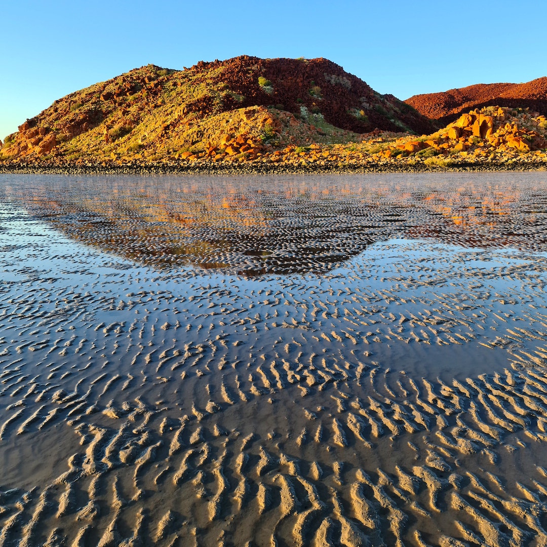 Rock Art & Bush Tucker Tour