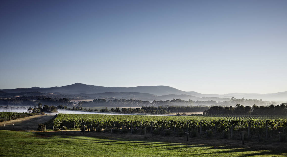 Yarra Valley Exceptional - Private Day Tour - For 2 - with Lunch