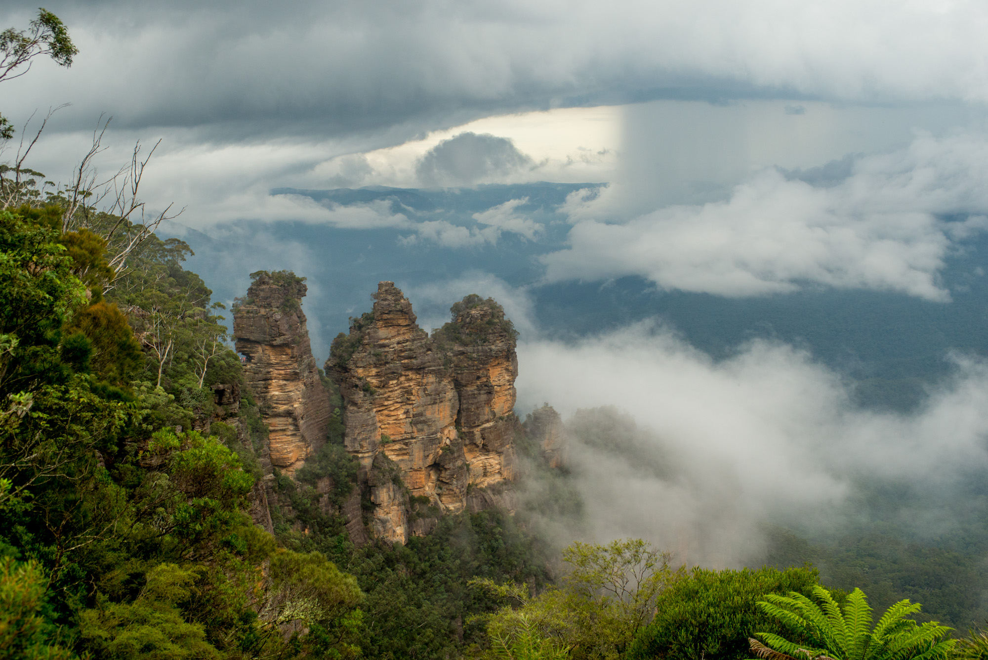 PRIVATE Featherdale Zoo, Blue Mountains & Scenic World Tour