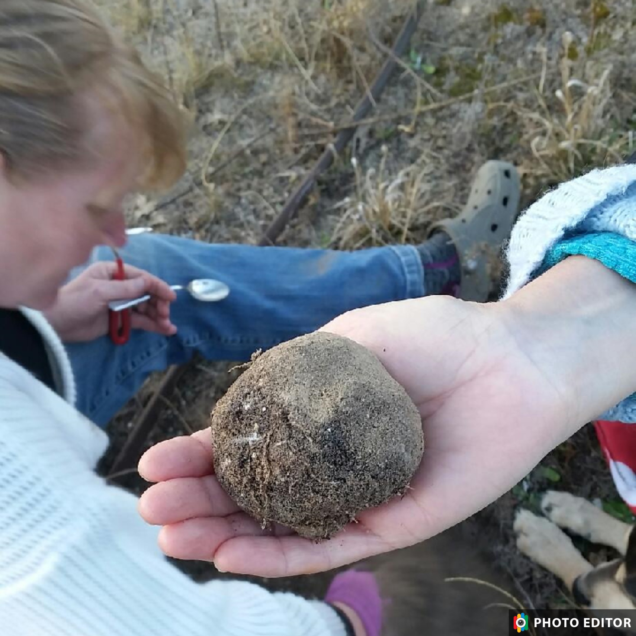 Truffle Hunt and Tasting*