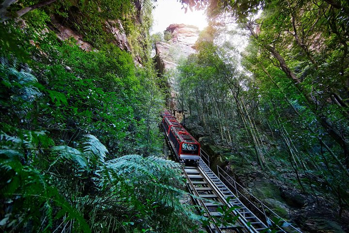 Blue Mountains Private Tour Including Scenic World & Sydney Zoo