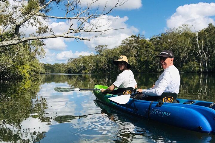 Explore Noosa by Kayak - Mangroves and Mansions