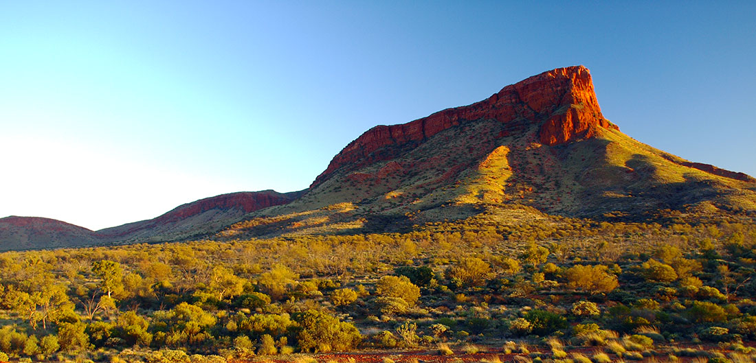 Western Desert Art Centre Expedition