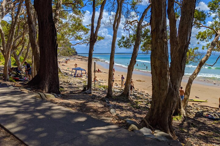 Full Day Private Tour Noosa Eumundi Markets Glass House Mountains