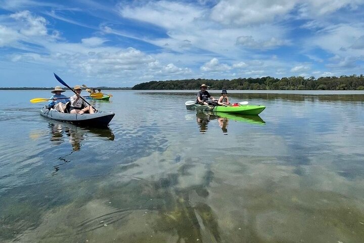 Explore Noosa by Kayak - Mangroves and Mansions
