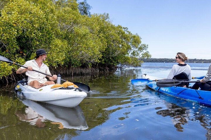 Explore Noosa by Kayak – Mangroves and Mansions