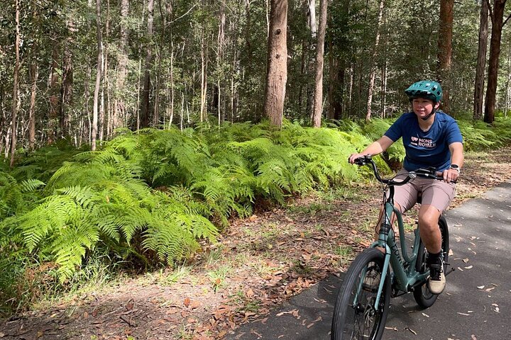 eBike Tour from Mt Tinbeerwah to Noosa