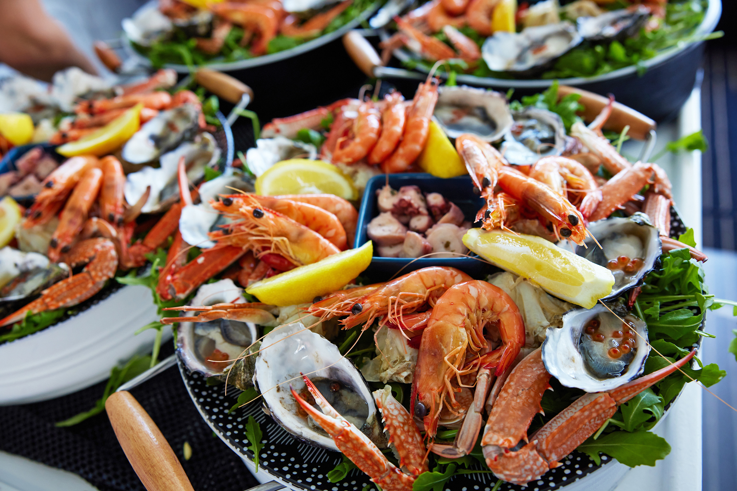 Mandurah Wild Seafood Experience