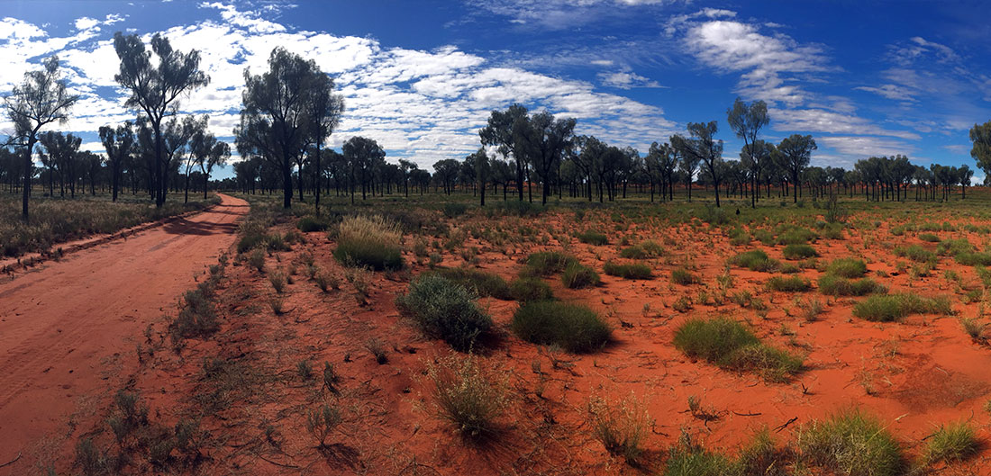 Western Desert Art Centre Expedition