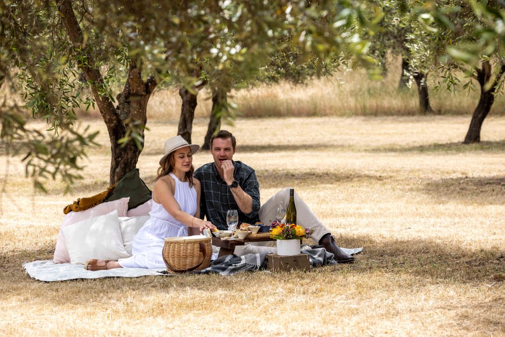 Laze + Graze Picnic