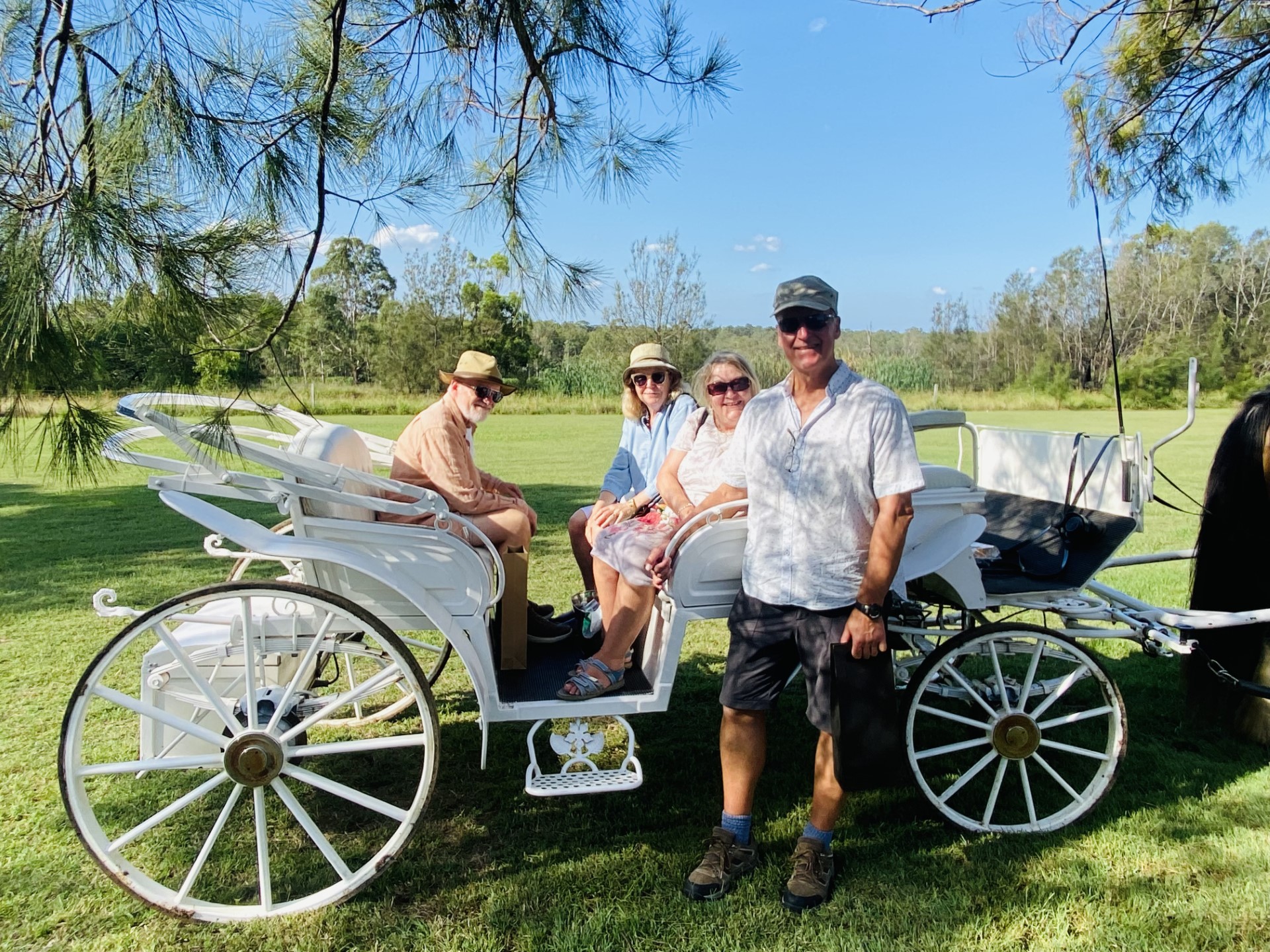 Half Day Exclusive Horse and Carriage Group Wine Tour