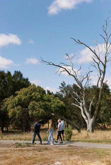 Minlagawi Mayi Walk - Walking Tour and Bush Foods Lunch