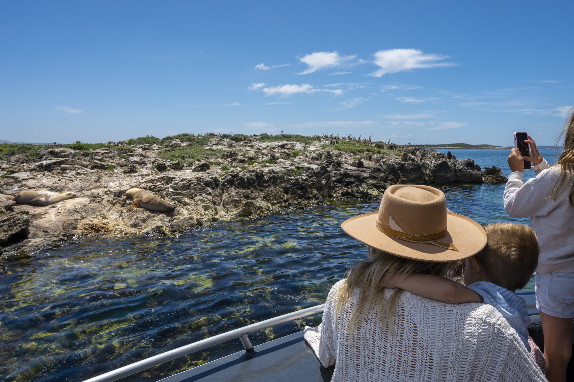 Coffin Bay Oyster Farm & Bay Tour - No Oysters - Including Wading Experience