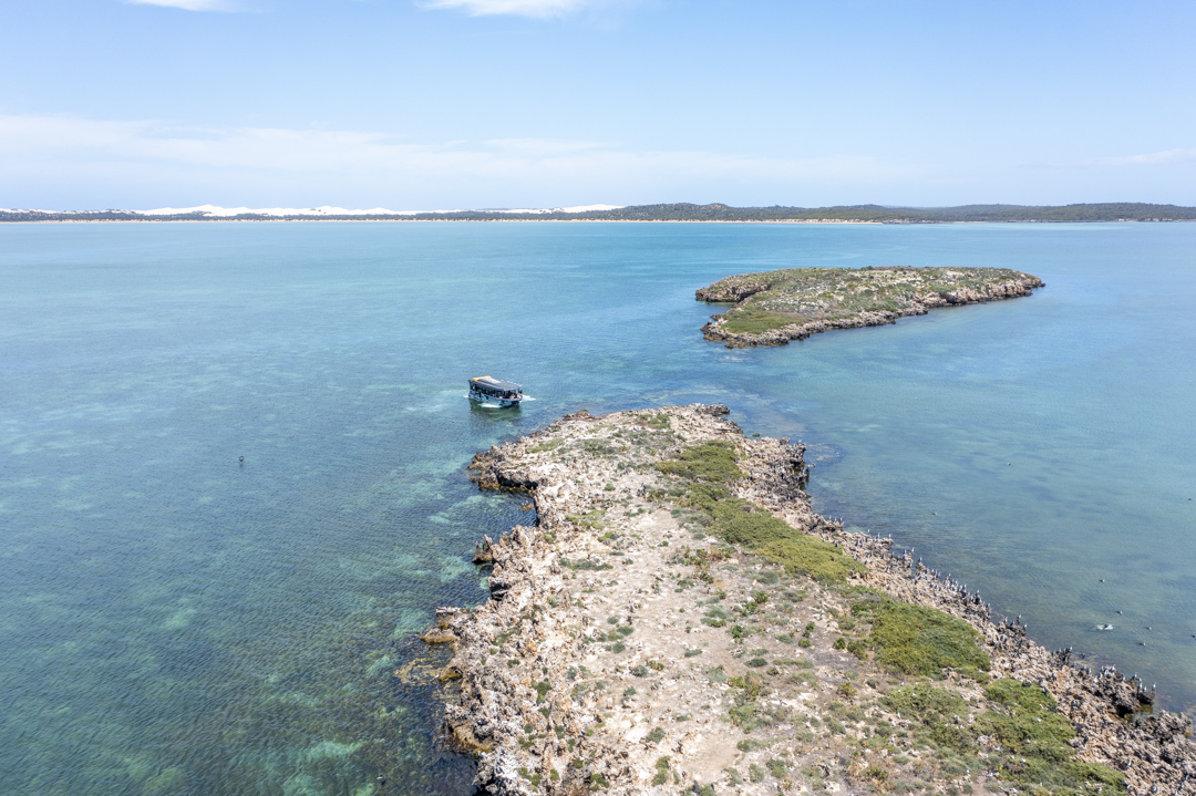 Coffin Bay Oyster Farm & Bay Tour - No Oysters - Including Wading Experience