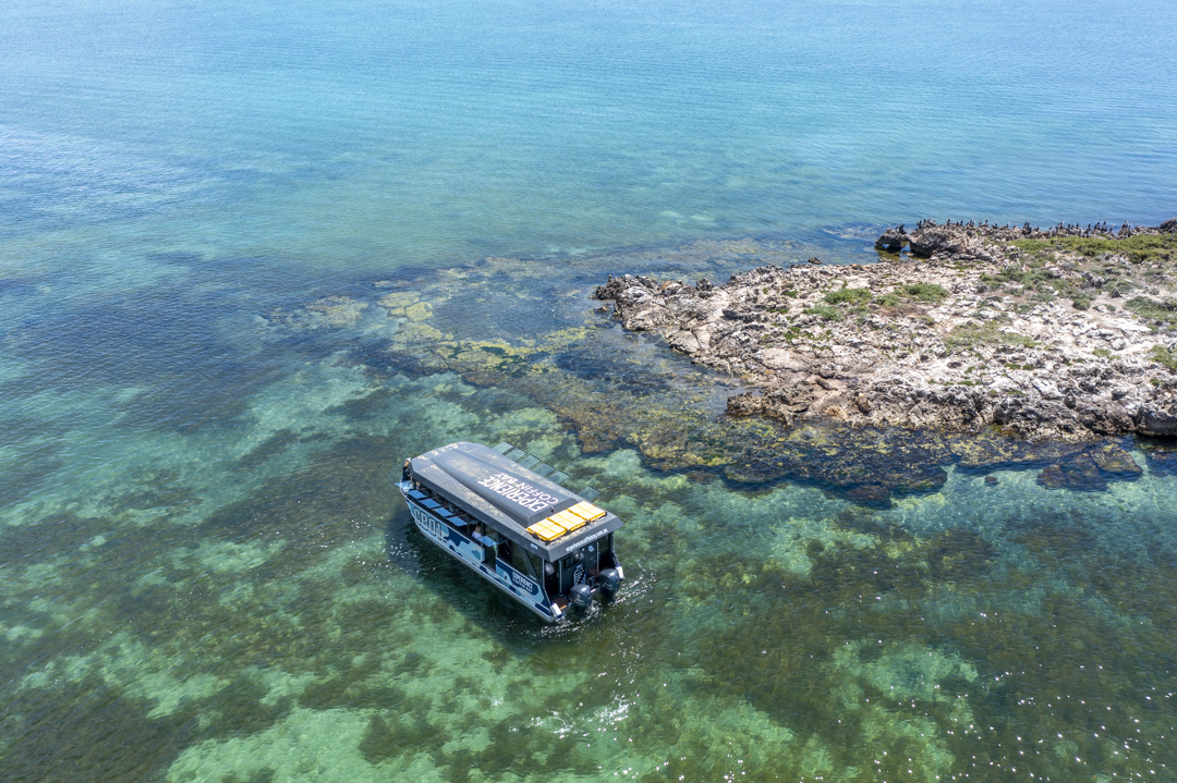 Coffin Bay Oyster Farm & Bay Tour - No Oysters - Including Wading Experience