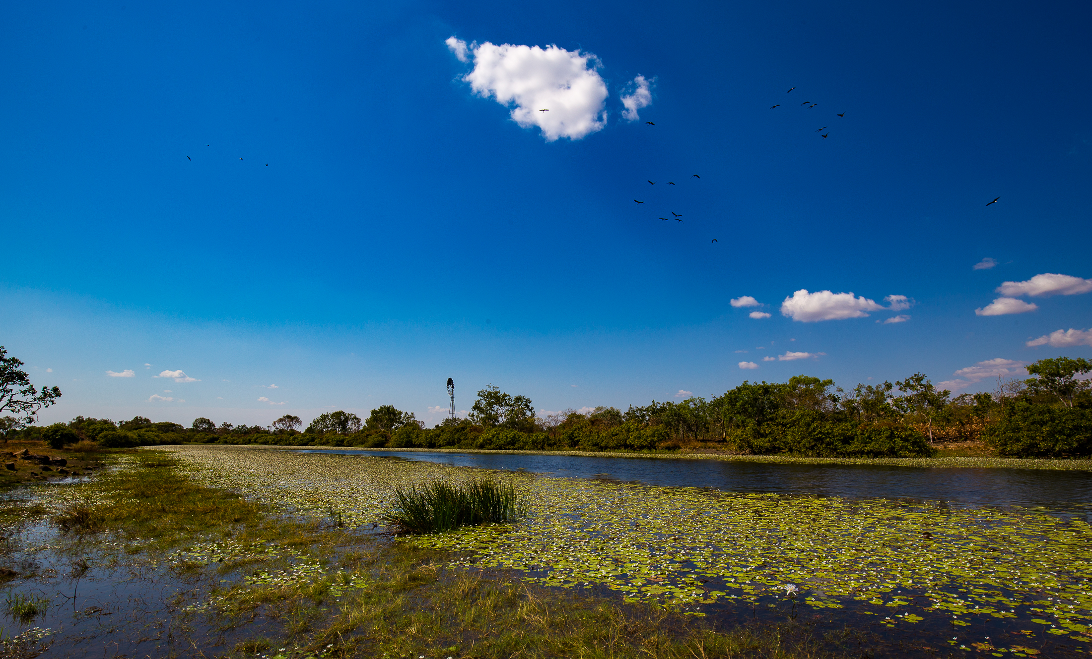 Marralam overnight camping and day tour