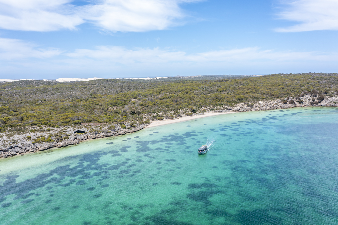 Coffin Bay Oyster Farm & Bay Tour - No Oysters - Including Wading Experience