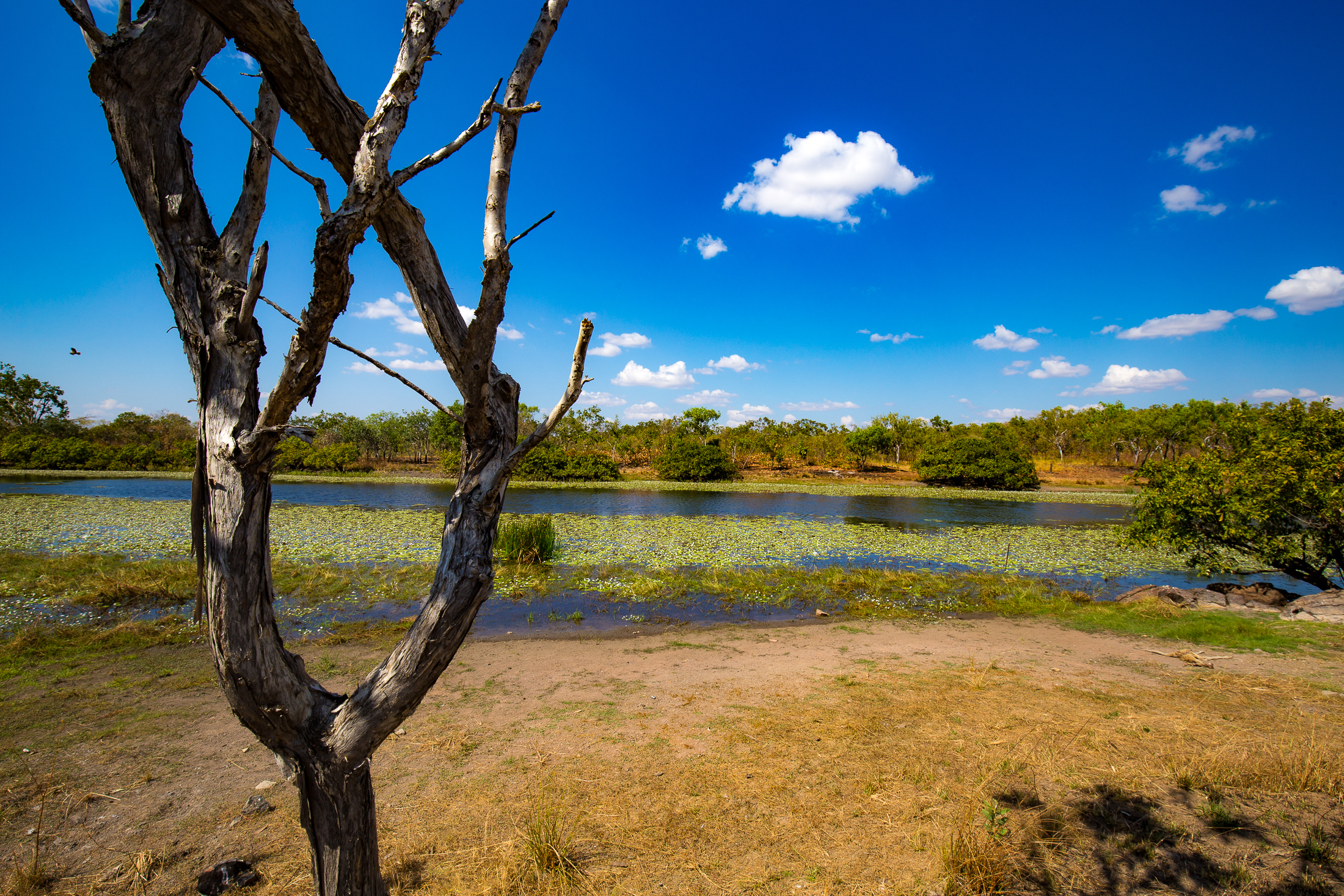 Marralam overnight camping and day tour