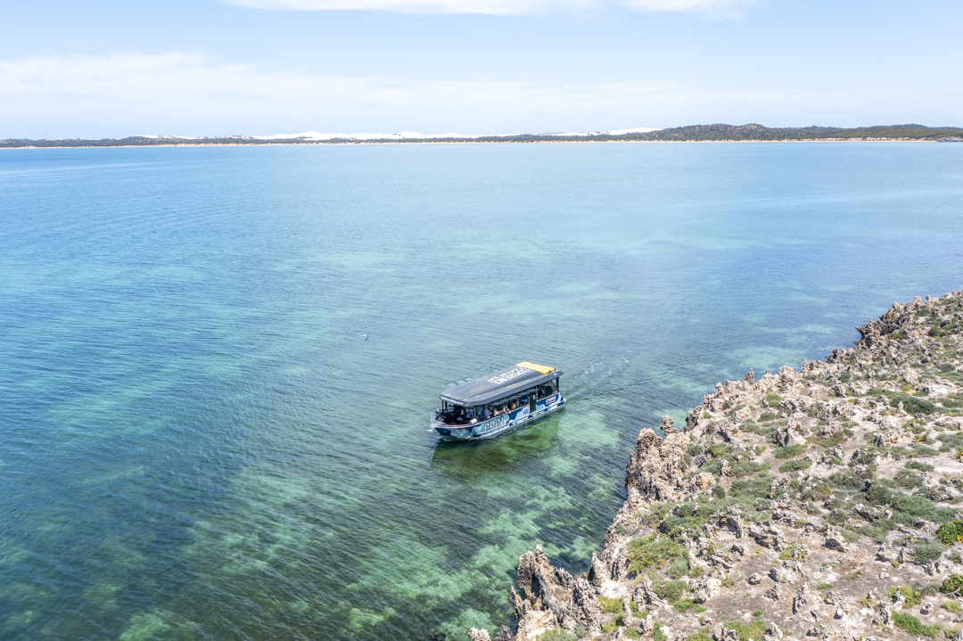 Coffin Bay Oyster Farm & Bay Tour - No Oysters - Including Wading Experience