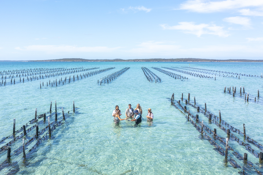 Coffin Bay Oyster Farm & Bay Tour - No Oysters - Including Wading Experience