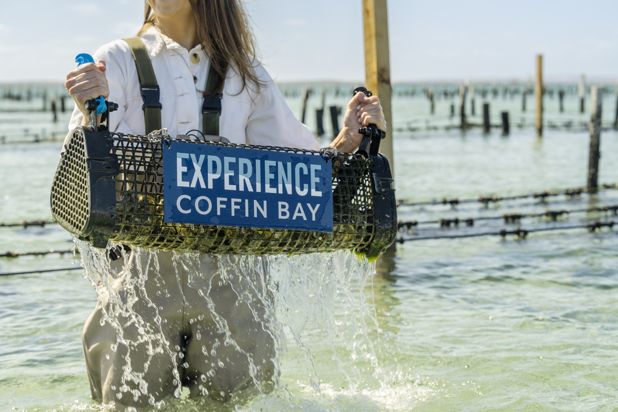 Coffin Bay Oyster Farm & Bay Tour - No Oysters - Including Wading Experience