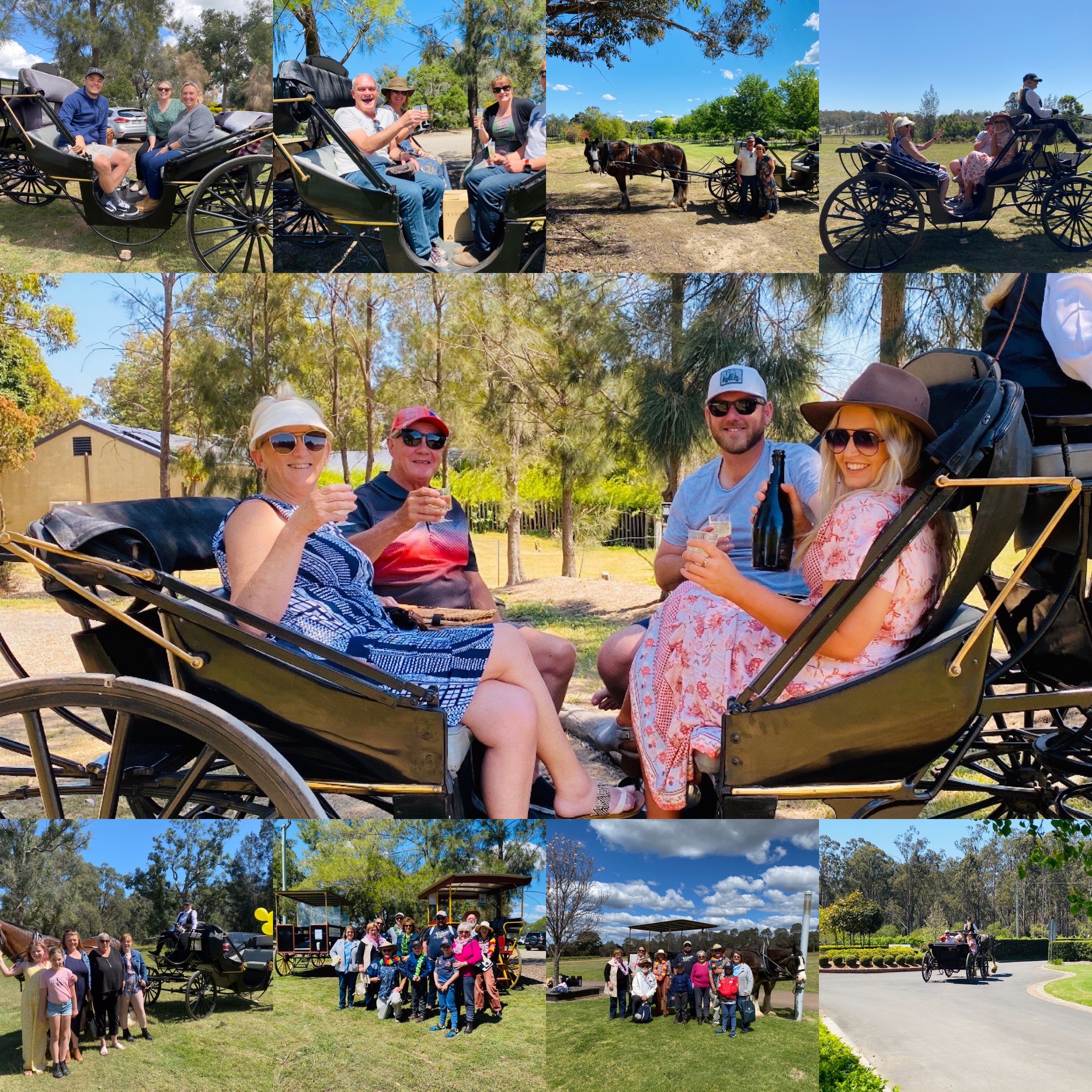 Exclusive Mini – 1 Hour Carriage Wine Tour