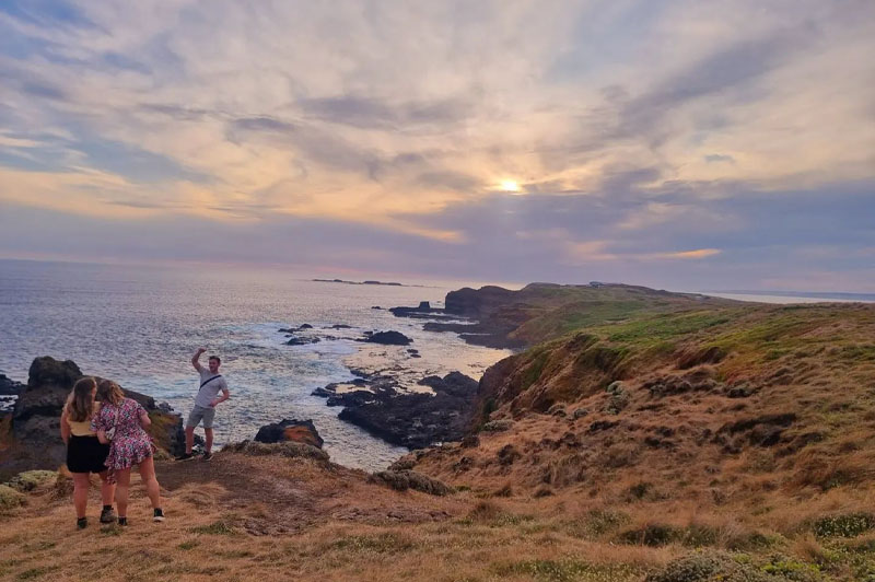 Phillip Island Wine & Penguins Tour  - Cruise Passengers Only