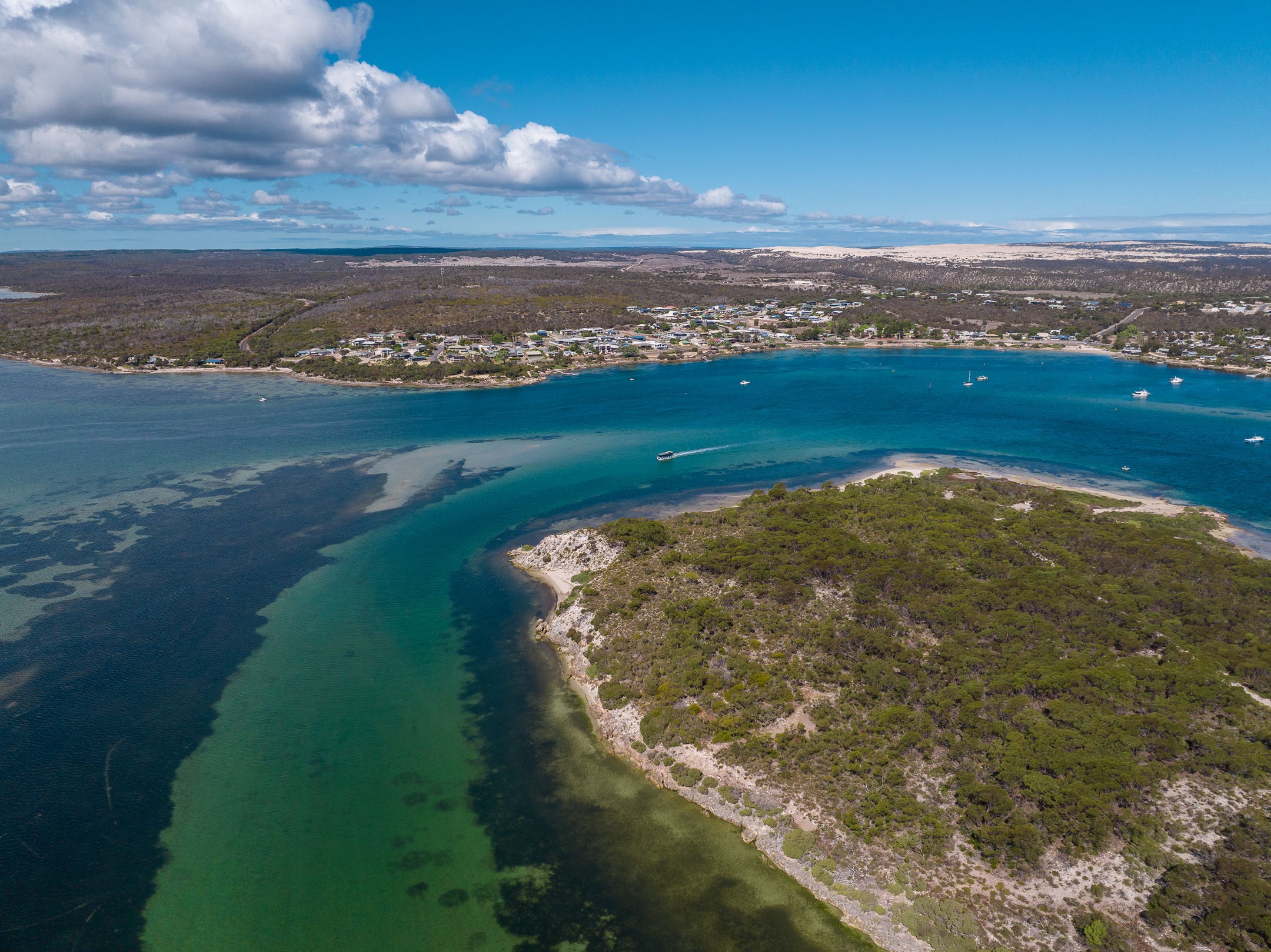 Coffin Bay Short & Sweet Oyster Farm Tour - No Oysters