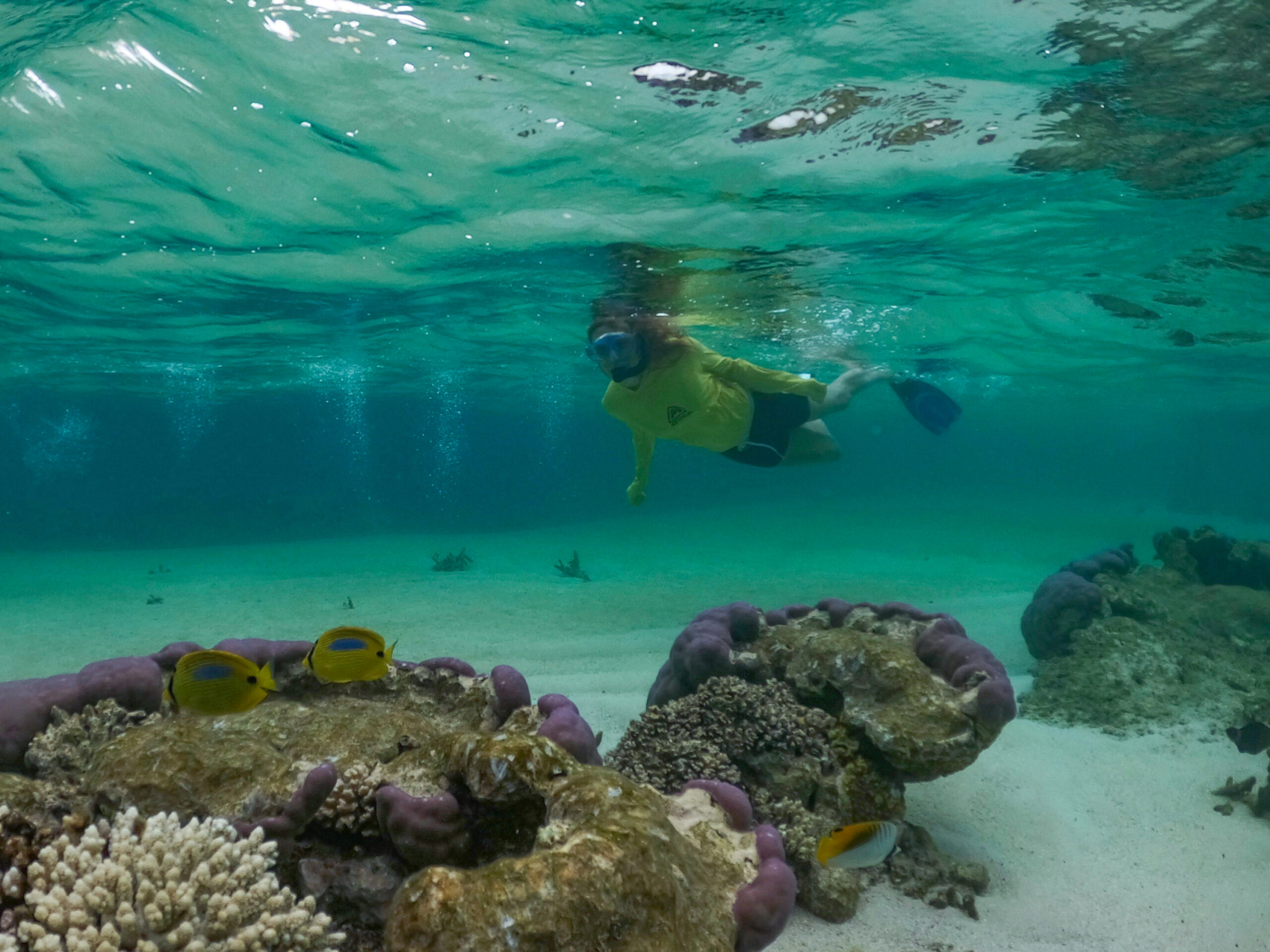 Coral By Kayak