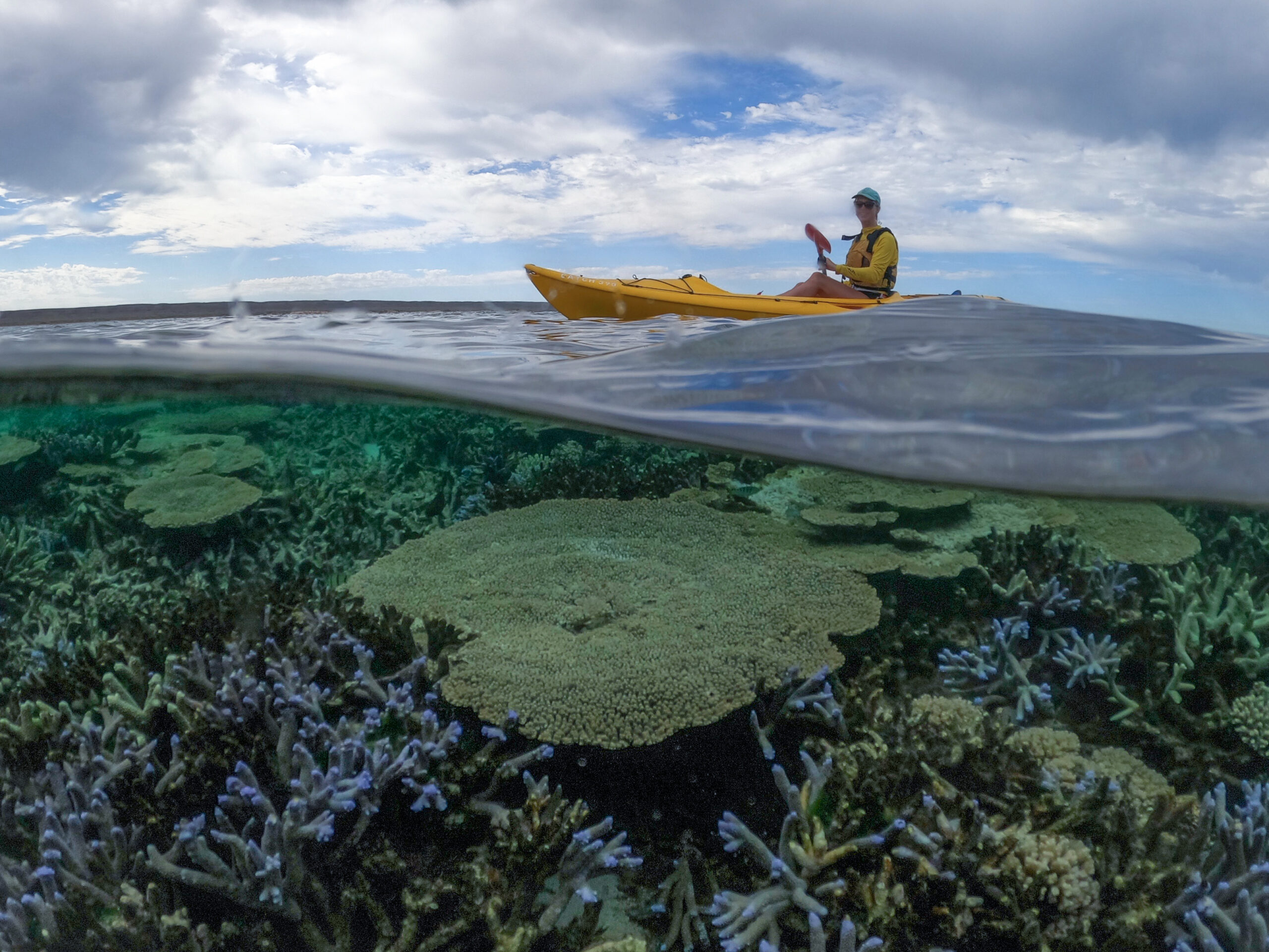 Coral By Kayak