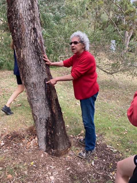 Quaranup Aboriginal Walking Tour