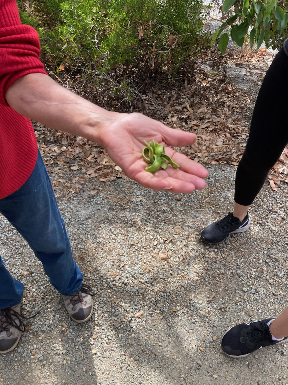 Quaranup Aboriginal Walking Tour