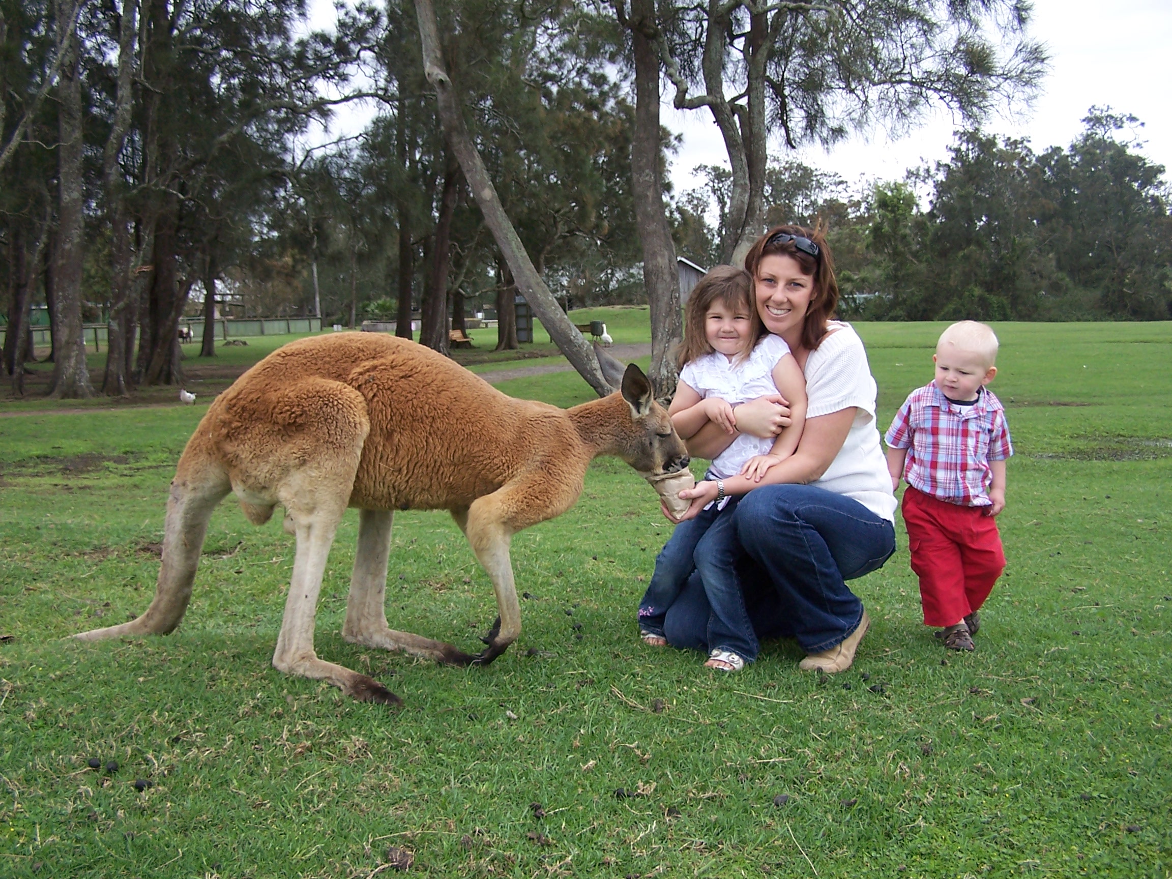 The Ultimate Aussie Animal Package - B2B Booking - Visit Oakvale Wildlife Park & Irukandji Shark & Ray Encounters with ONE PASS