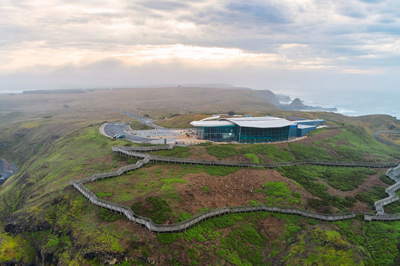 Phillip Island Wine & Penguins Tour  - Cruise Passengers Only