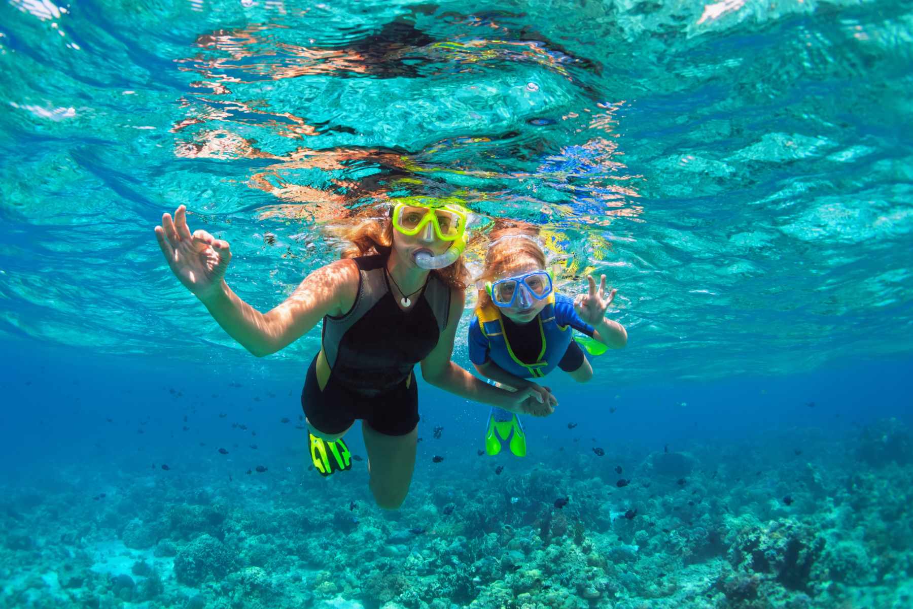 Reef Snorkel Safari - Half Day