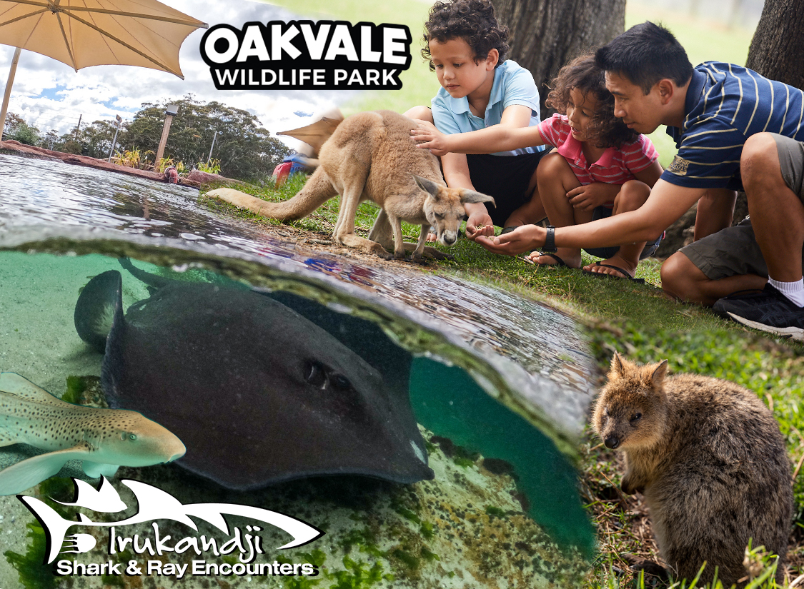 The Ultimate Aussie Animal Package – B2B Booking – Visit Oakvale Wildlife Park & Irukandji Shark & Ray Encounters with ONE PASS